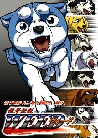 Легенда о Серебряном Клыке Уиде 2 сезон Легенда о Серебряном Клыке Уиде 2 сезон